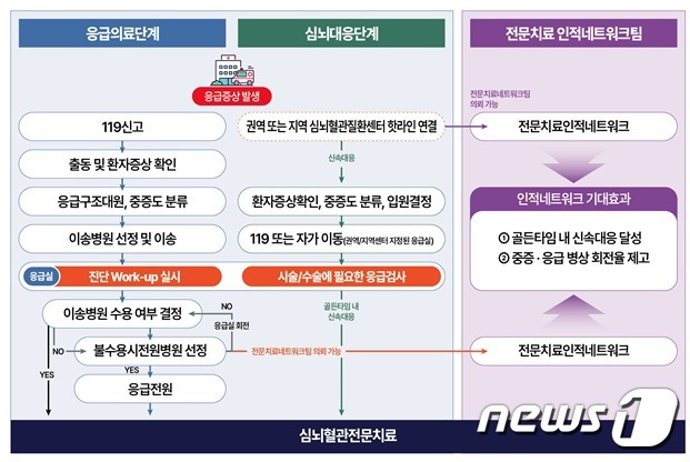 심뇌혈관 전문치료 인적네트워크팀 구성 모식도(보건복지부 제공)