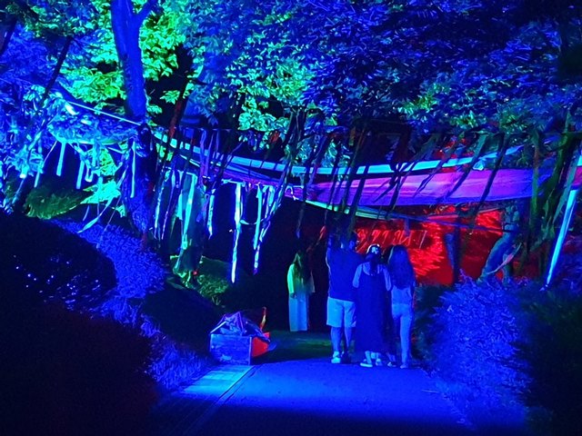 [울산=뉴시스]울산 남구 장생포 한여름 밤의 호러 페스티벌 자료사진 (울산 남구 제공) photo@newsis.com *재판매 및 DB 금지