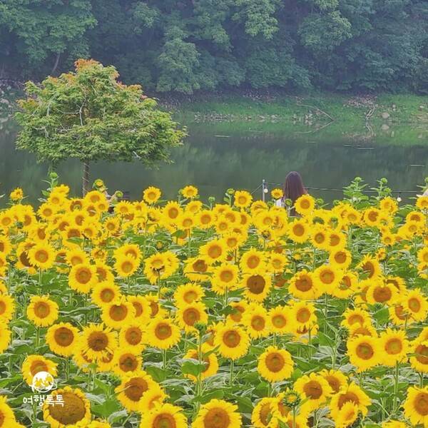 &nbsp;ⓒ여행톡톡