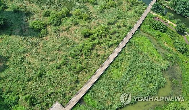 더위로 인적 드문 광교 호수공원 (수원=연합뉴스) 수도권 등 전국에 폭염 특보가 발효된 지난 30일 경기도 수원시 광교 호수공원 산책로가 한산한 모습을 보이고 있다. 2023.7.30 [연합뉴스 자료사진. 재판매 및 DB 금지]