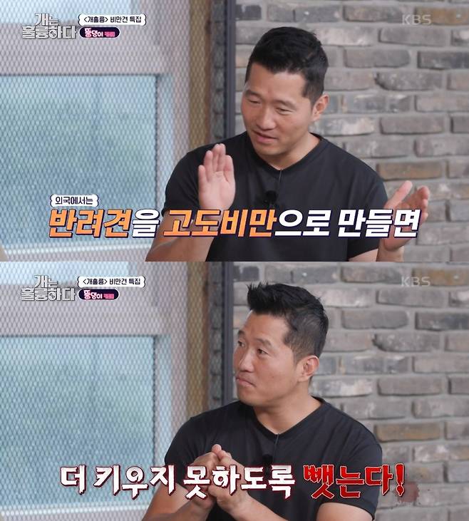 /사진=KBS2 예능 '개는 훌륭하다'