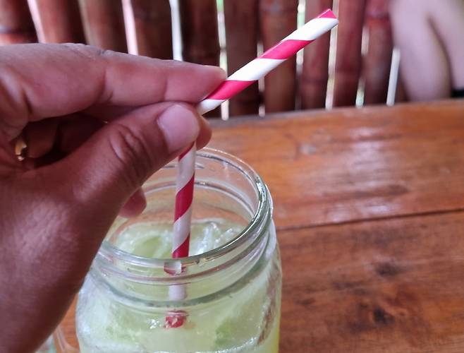 필리핀 호텔 내에서 제공하고 있는 종이 빨대 [독자 제공]