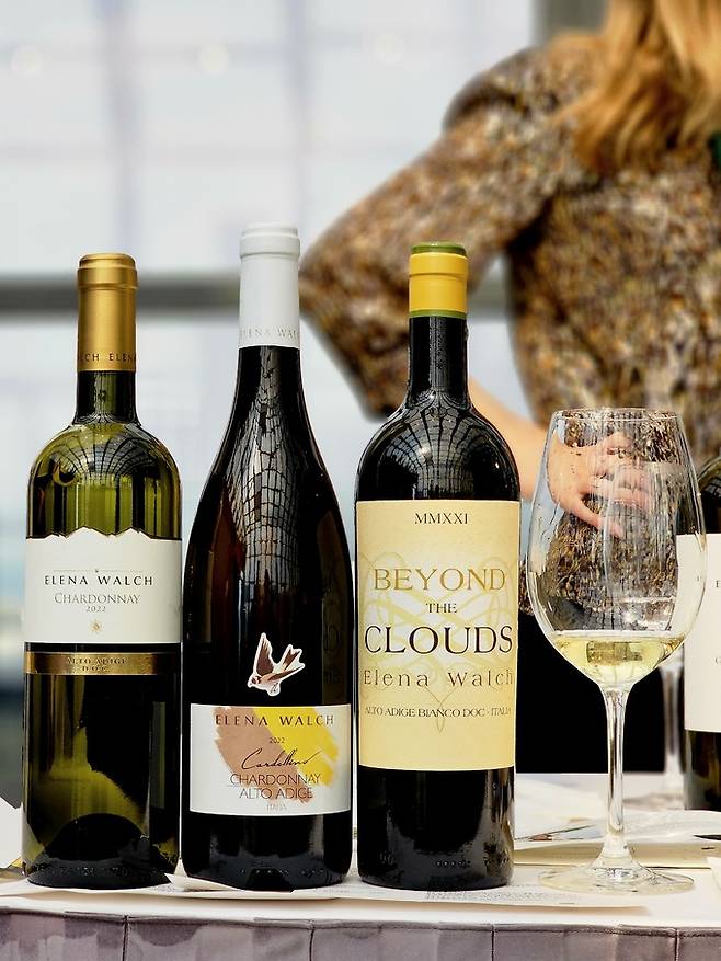엘레나 월쉬 샤르도네 와인. 최현태 기자