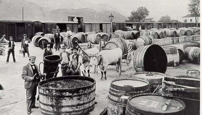 1800년대 알토 아디제 와인거래. 알토아디제와인협회