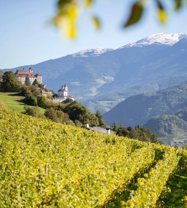 Valle Isarco.&nbsp; &nbsp; &nbsp; &nbsp; &nbsp; &nbsp; &nbsp; &nbsp;알토아디제와인협회