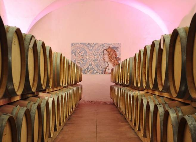 엘레나 월쉬 셀러. 홈페이지