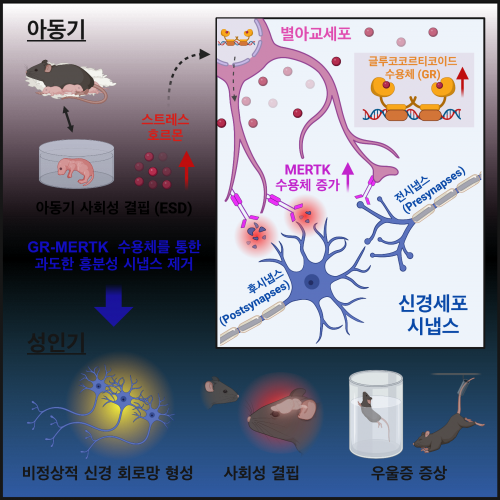 아동학대 및 방임과 성인기 정신질환 유발 연관성 연구 방법  카이스트 제공