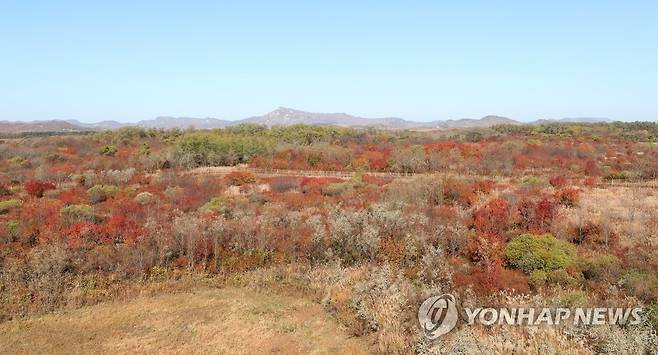 태봉국 철원성터 [연합뉴스 자료사진]