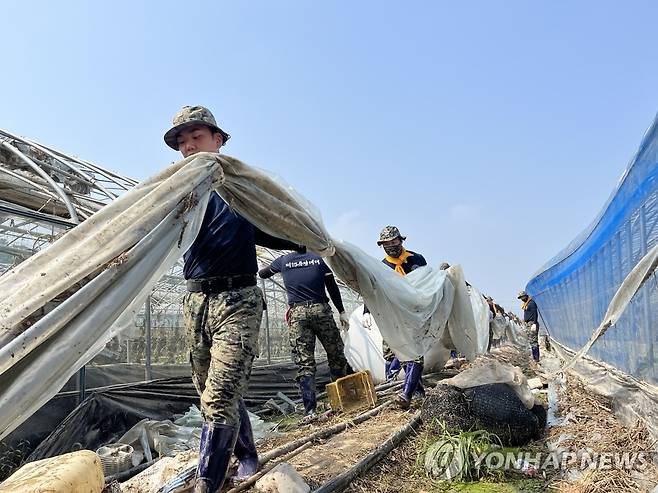 폐비닐 치우는 장병들 (부여=연합뉴스) 21일 충남 부여군 부여읍 한 비닐하우스에서 특전사 1공수특전여단 장병들이 물에 잠겨 더럽혀진 비닐을 치우고 있다. 2023.7.21 [육군 32사단 제공. 재판매 및 DB 금지] sw21@yna.co.kr