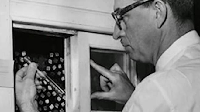 전 세계 실험실에서 사용된 '헬라 세포'