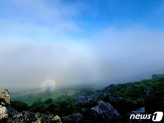 3일 오전 제주 한라산국립공원 정상에서 브로켄 현상이 목격됐다. 브로켄은 태양을 등지고 섰을 때 사람이나 사물의 그림자 주변에 무지개 띠 같은 형상이 나타나는 현상으로, 독일 브로켄 산에서 처음 목격돼 이름이 붙여졌다. (독자 제공) 2023.8.3/뉴스1