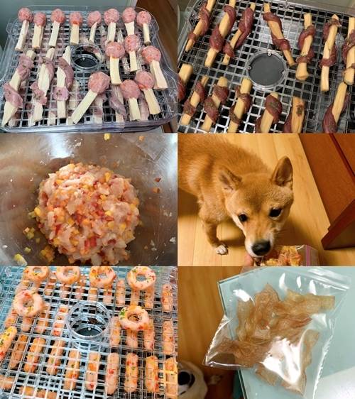 가수 김채원이 MK스포츠와 펫터뷰를 진행했다. 사진=장군엔터테인먼트