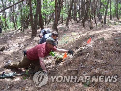 6·25 미군 전사자 유해 발굴 [연합뉴스 자료사진. 국방부 유해발굴감식단 제공. 재판매 및 DB 금지]