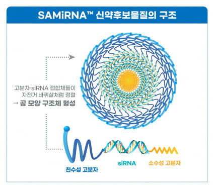 SAMiRNA 신약후보물질의 구조. 자료 제공=바이오니아