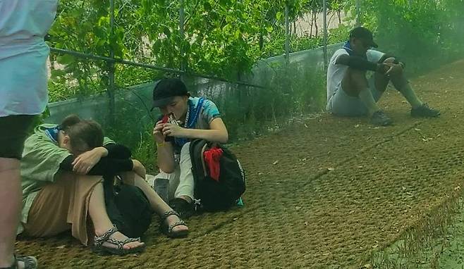 This Is So Hard! Scouts from around the world are cooling down from the heat in a cooling tunnel covered with vines at the jamboree venue. Buan / Kim Chang-hyo, Senior Reporter