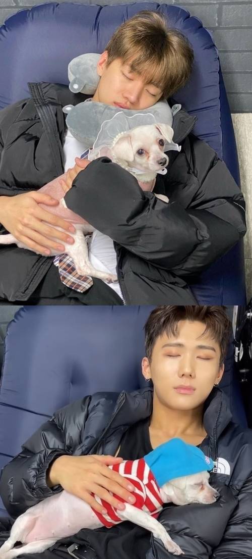 그룹 DKZ가 MK스포츠와 펫터뷰를 진행했다. 사진=동요엔터테인먼트