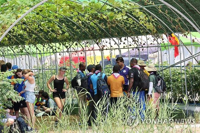 덩굴터널에서 더위 피하는 스카우트 대원들 (부안=연합뉴스) 임채두 기자 = 3일 오후 전북 부안군 새만금 세계스카우트 잼버리 델타구역 내 덩굴터널에서 스카우트 대원들이 더위를 피하고 있다. 2023.8.3 doo@yna.co.kr