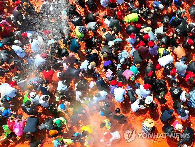 화천토마토축제 '황금반지를 찾아라' (화천=연합뉴스) 5일 강원 화천군 사내면 사창리 문화마을에서 '2023 화천토마토축제'가 열려 관광객들이 토마토속에 숨겨진 반지를 찾는 프로그램에 참여해 즐거운 시간을 보내고 있다. 2023.8.5  [화천군 제공.재판매 및 DB 금지] hak@yna.co.kr