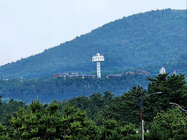 ▲ 동해안권경제자유구역 망상2지구가 들어설 망상동 724번지 동부목재유통센터 동부목재유통센터 전경.