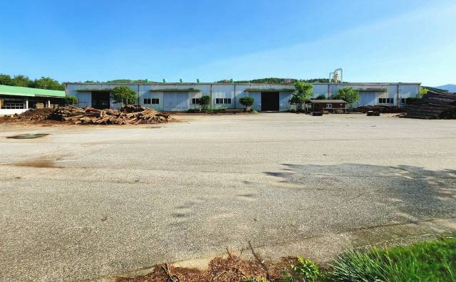 ▲ 동해안권경제자유구역 망상2지구가 들어설 망상동 724번지 동부목재유통센터 내부 모습.