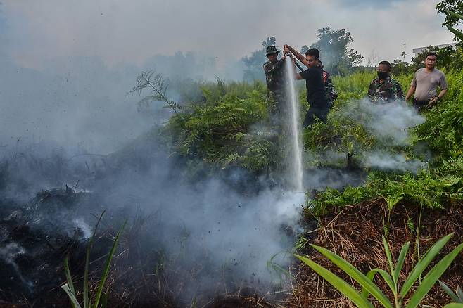 지난달 30일 인도네시아 리아우주 페칸바루의 한 이탄(泥炭·peat) 지대에서 소방대원들이 화재를 진압하고 있다. / AFP·연합