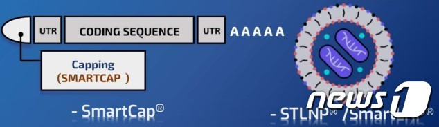 스마트캡핑(왼쪽), LNP 등 에스티팜이 보유한 mRNA 플랫폼 기술 2종./자료 에스티팜