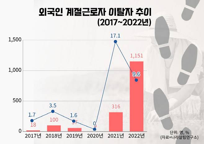 외국인 계절근로자 이탈자 수 및 이탈률 추이. (자료=나라살림연구소)