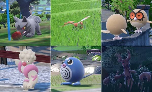 - 포챠나(좌측 상단부터), 왕자리, 야부엉, 토쇠골, 발챙이, 대로트