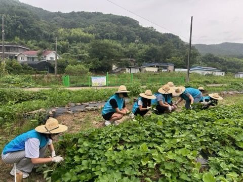 [진주=뉴시스] 한국수자공 남강댐 '그린촉촉 서포터즈단' 봉사활동. *재판매 및 DB 금지