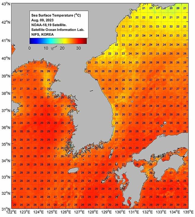 미국 해양대기청(NOAA) 위성으로 파악한 한반도 주변 해수면 온도. [국립수산과학원 제공. 재판매 및 DB 금지]