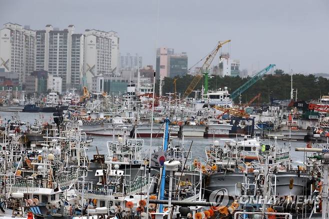 포항 동빈내항에 몰려든 선박 (포항=연합뉴스) 손대성 기자 = 제6호 태풍 '카눈' 영향으로 9일 경북 포항에 비가 내리는 가운데 포항 동빈내항에 각종 배가 대피해 있다. 2023.8.9 sds123@yna.co.kr