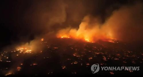 허리케인 '도라' 강풍 타고 번지는 하와이 산불 [로이터=연합뉴스. 마우이리얼에스테이트 라디오/TMX 제공]