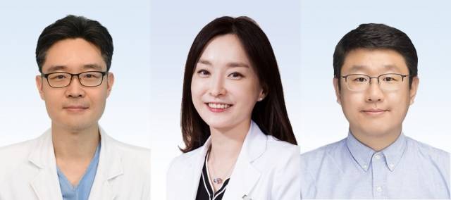 왼쪽부터 분당서울대병원 신철민, 서울대병원 강남센터 진은효, 숭실대 한경도 교수.