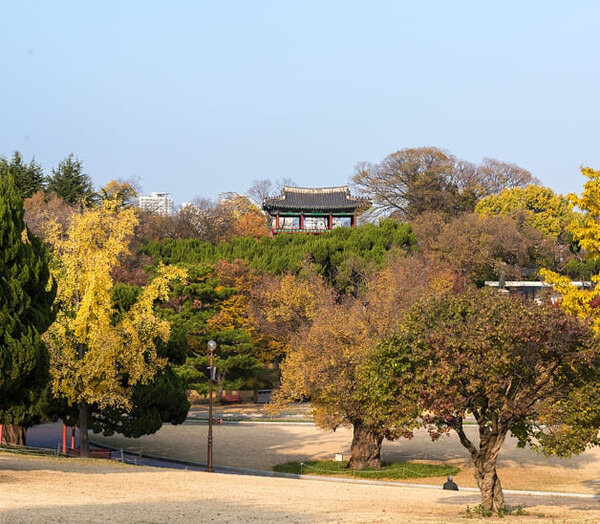 온라인 커뮤니티