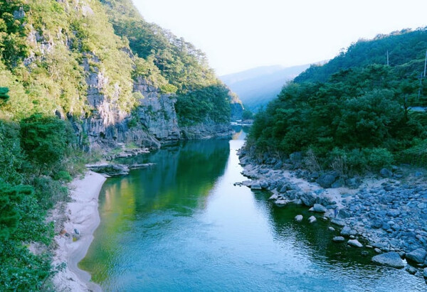 온라인 커뮤니티