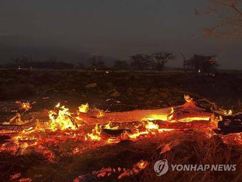 9일 하와이 마우이섬 키헤이 지역에서 산불이 번지는 모습 [AP=연합뉴스. 재판매 및 DB 금지]