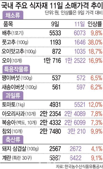 (그래픽= 문승용 기자)