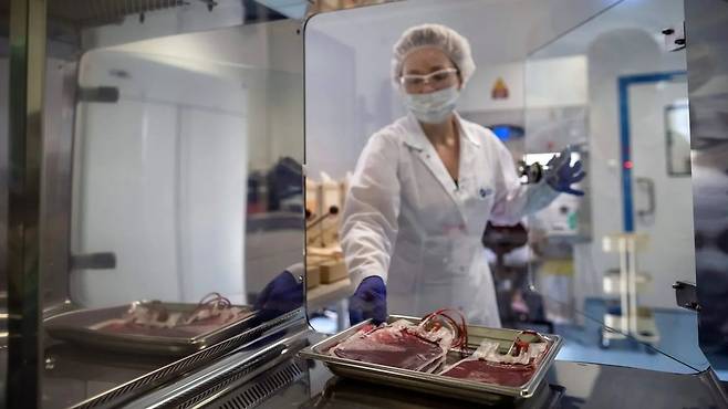 개인적으로 은행에 보관한 제대혈이 어린이들에게 활용되는 비율은 상대적으로 적다. 하지만 제대혈 기증을 할 수 있는 조건만 잘 맞춘다면 더 많은 아이들이 혜택을 누릴 수 있다