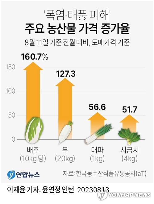 [그래픽] '폭염·태풍 피해' 주요 농산물 가격 증가율 (서울=연합뉴스) 이재윤 기자 = 13일 한국농수산식품유통공사(aT) 농산물유통정보에 따르면 지난 11일 배추(상품) 도매가격은 10㎏에 2만5천760원으로 한 달 전의 9천880원보다 160.7% 올랐다.
    무 도매가격은 20㎏에 2만9천320원으로 한 달 전의 1만2천900원과 비교하면 127.3% 올랐고, 대파 도매가격은 1㎏에 3천250원으로 한 달 전의 2천76원과 비교해 56.6% 오른 것으로 나타났다.
    yoon2@yna.co.kr
    트위터 @yonhap_graphics  페이스북 tuney.kr/LeYN1