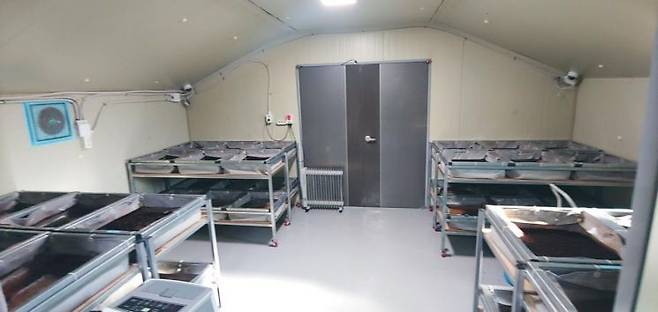 동애등에 유충 사육시설 [충남도 제공]