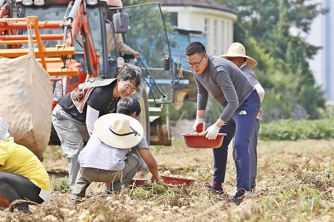 지난 2일 김동선 한화갤러리아 전략본부장이 한국 파이브가이즈에 감자를 공급하는 강원 평창군 산지에서 생산과정 전반을 점검하고 있다. [사진 제공 = 갤러리아]