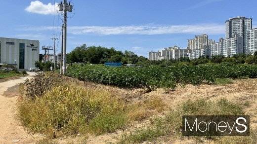 경기 파주시 동패동에 위치한 'GTX 운정역 서희 스타힐스' 사업 부지 /사진=김노향 기자