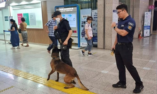 경찰이 부산시청 1층 로비에서 폭발물탐지견을 동원해 폭발물을 수색하고 있다. 부산시 제공