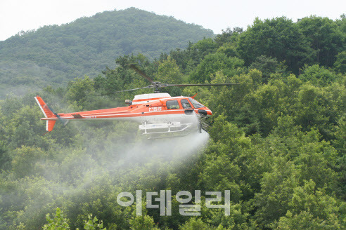 산림청 소속 헬기가 밤나무 해충 방제 작업을 하고 있다. (사진=산림청 제공)