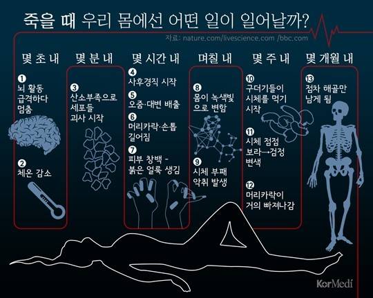 생물학적 죽음은 뇌의 모든 신경과 신체의 모든 조직이 시간의 흐름에 따라 괴사하는 완전 사망을 말한다. [이미지=코메디닷컴 DB]