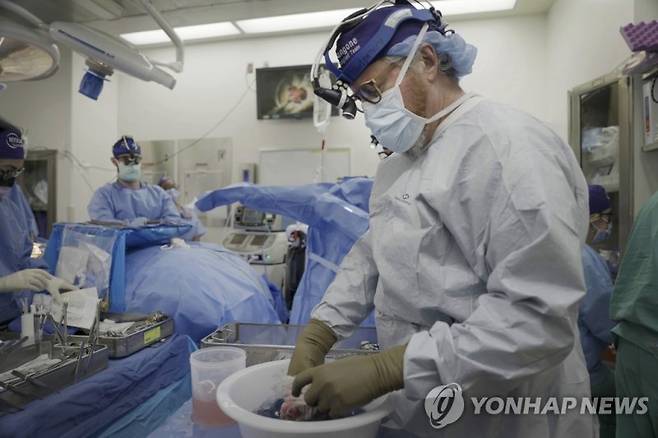 돼지 신장 이식 수술을 준비하는 뉴욕대 연구팀 /사진=연합뉴스