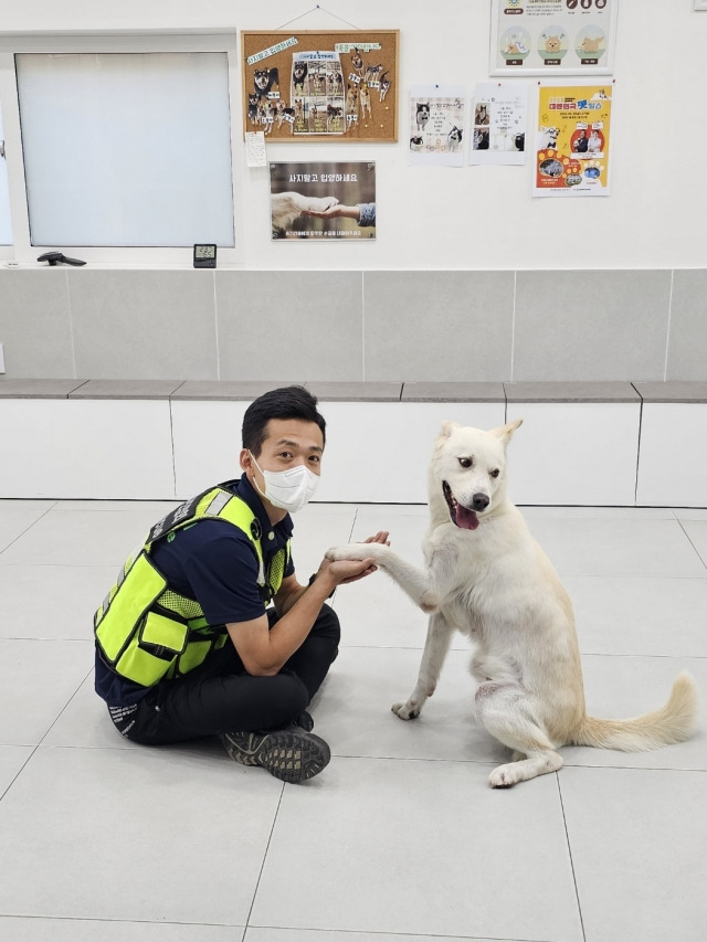 최승훈 반려동물구조협회 회장이 주인의 폭행으로부터 구조된 백구 '둥이'와 놀고 있다. [반려동물구조협회 제공]