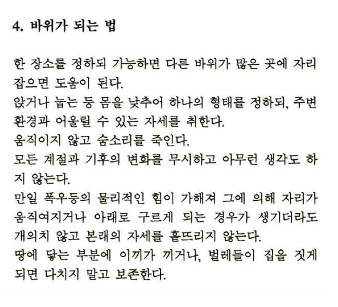 변신술, 바위가 되는 법, ⓒ김범