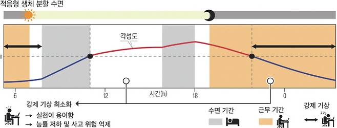 연속된 두 야근(주황색) 사이에 ‘적응형 생체 분할 수면’(회색)을 취하면 근무 전과 도중 각성도 낮은 강제 기상을 최소화할 수 있다. 삼성서울병원 제공