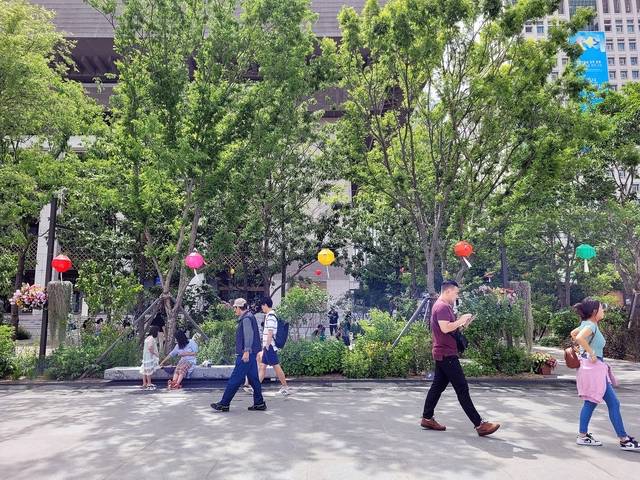 놀이에 빠진 아이에게나 길을 걷는 어른들에게나 나무는 사람을 모이게 한다. 사진은 지난 5월 광화문 광장을 지나는 시민들의 모습.